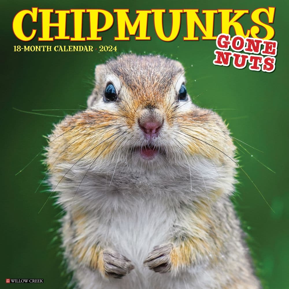 Chipmunks Gone Nuts 2024 Wall Calendar Main Image