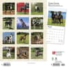 image Great Danes International 2024 Wall Calendar First Alternate Image width=&quot;1000&quot; height=&quot;1000&quot;