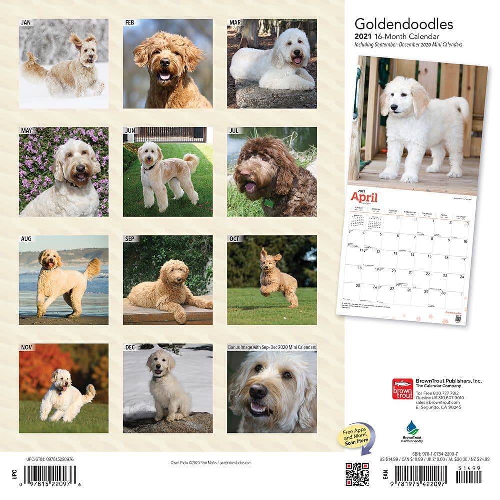 Goldendoodles Wall Calendar