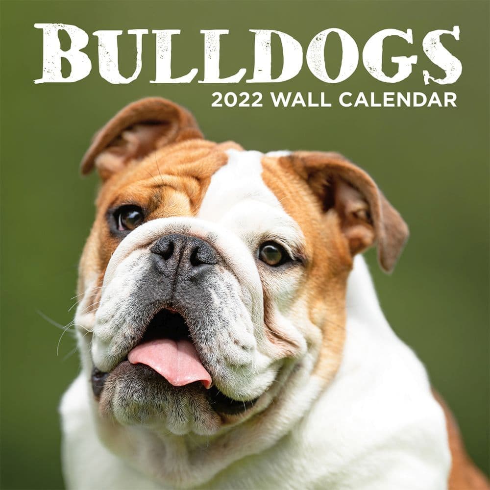 Bulldogs 2022 Wall Calendar