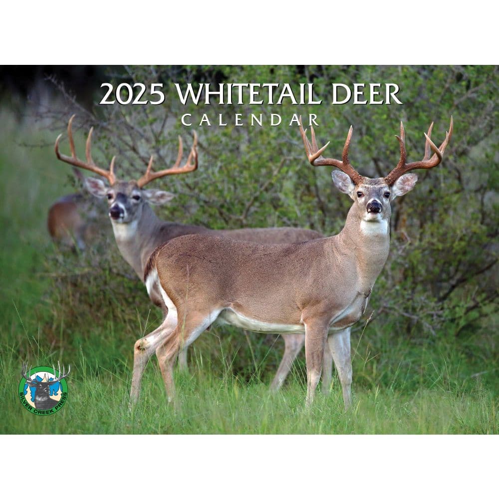 Whitetail Deer 2025 Wall Calendar - Calendars.com