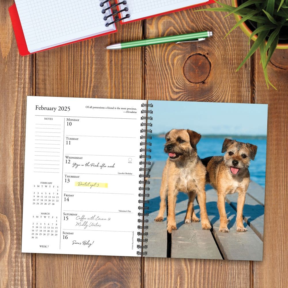What Dogs Teach Us 2025 Engagement Planner