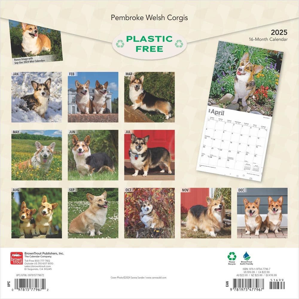 Welsh Corgis Pembroke 2025 Wall Calendar First Alternate Image width=&quot;1000&quot; height=&quot;1000&quot;