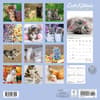 image Kittens Cute 2025 Wall Calendar First Alternate Image width=&quot;1000&quot; height=&quot;1000&quot;