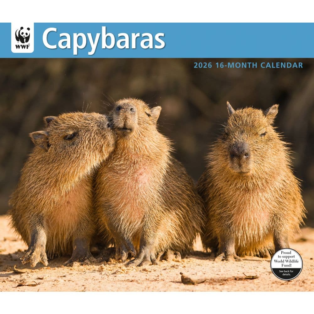 Capybara WWF 2026 Wall Calendar  Main Image