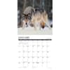 image Rocky Mountain Wildlife 2025 Wall Calendar