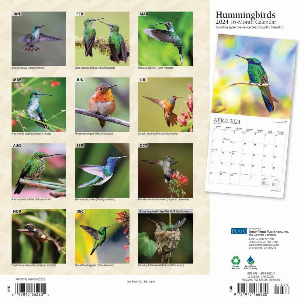 Hummingbirds 2024 Wall Calendar