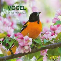 image Birds 2027 Wall Calendar Main Product Image