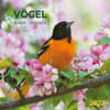image Birds 2027 Wall Calendar Main Product Image