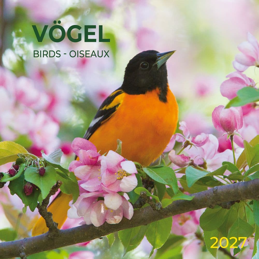 image Birds 2027 Wall Calendar Main Product Image
