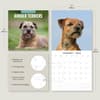 image Border Terriers 2025 Wall Calendar Alt4