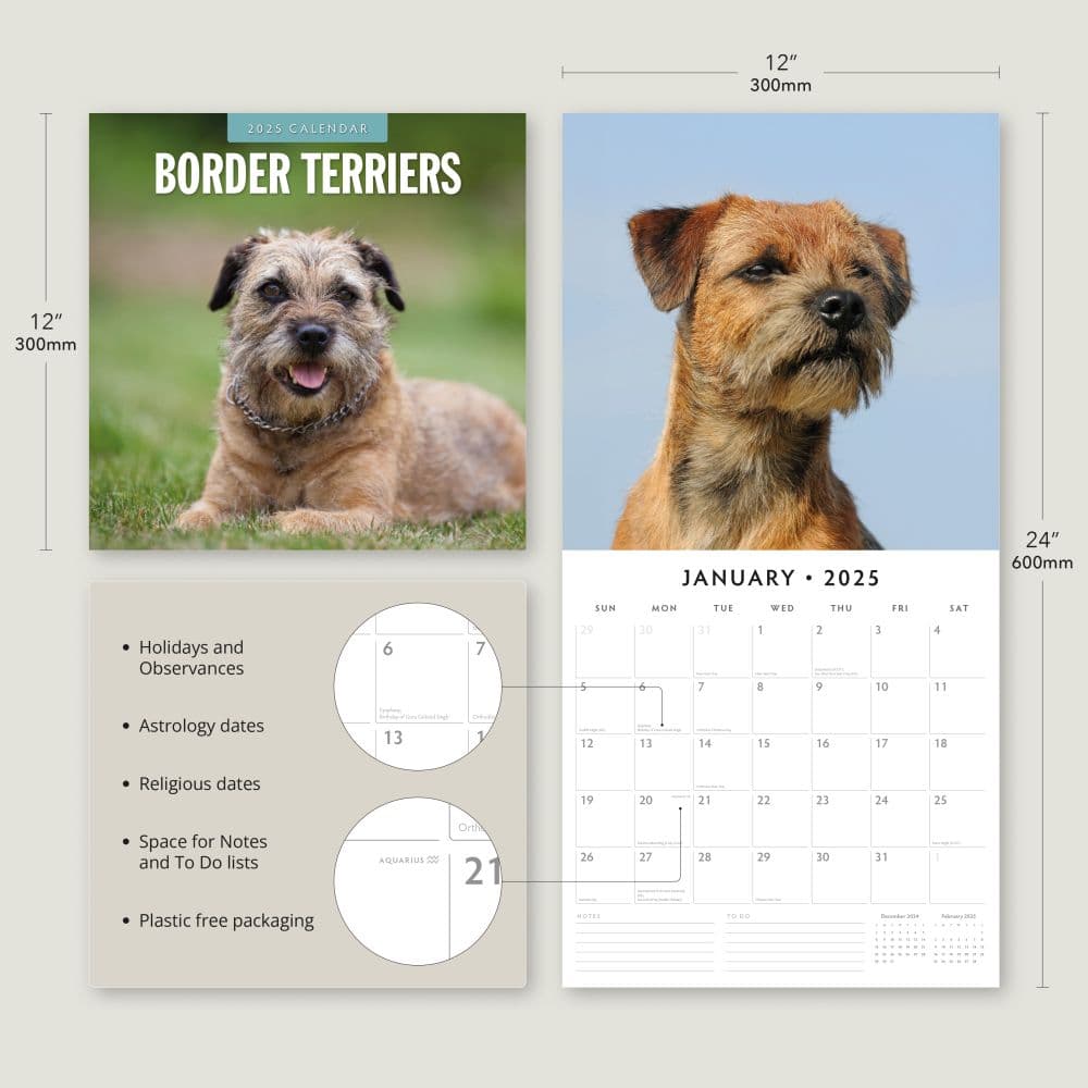 Border Terriers 2025 Wall Calendar Alt4