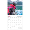 image Dogs on Vacation 2025 Wall Calendar Second Alternate Image