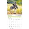image Baby Animals Special Value 2026 Mini Wall Calendar Second Alternate Image