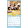 image Cranky Kitties Avanti 2024 Mini Wall Calendar Alternate Image 2