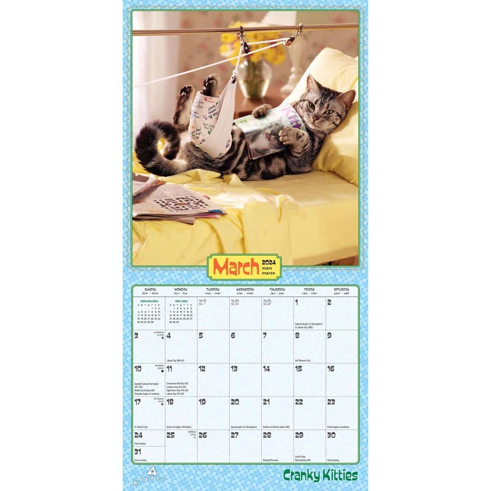 Cranky Kitties Avanti 2024 Mini Wall Calendar Alternate Image 2