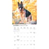 image Just German Shepherds 2026 Wall Calendar Fourth Alternate Image