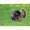 image Turkey 2024 Wall Calendar Main Product Image width=&quot;1000&quot; height=&quot;1000&quot;