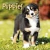 image Puppies 2025 Wall Calendar Main Image