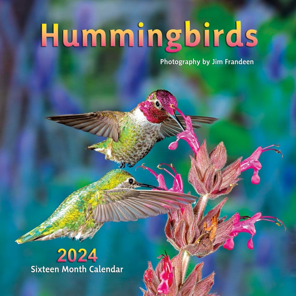 Hummingbirds 2024 Wall Calendar Main Product Image width=&quot;1000&quot; height=&quot;1000&quot;
