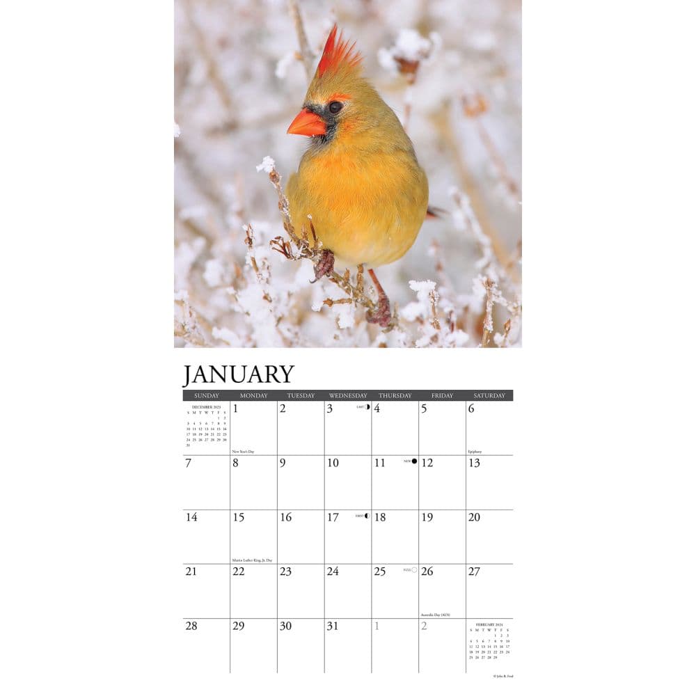 Cardinals 2024 Wall Calendar Alternate Image 2