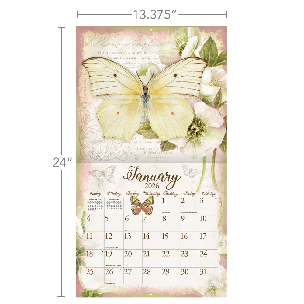 Butterflies 2026 Wall Calendar by Jane Shasky_ALT6