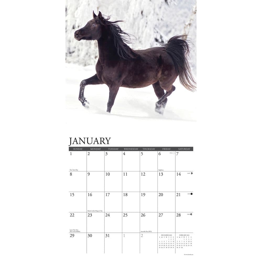 Arabians 2023 Wall Calendar Calendars