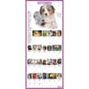 image Puppies 365 Days 2025 Wall Calendar Alt3