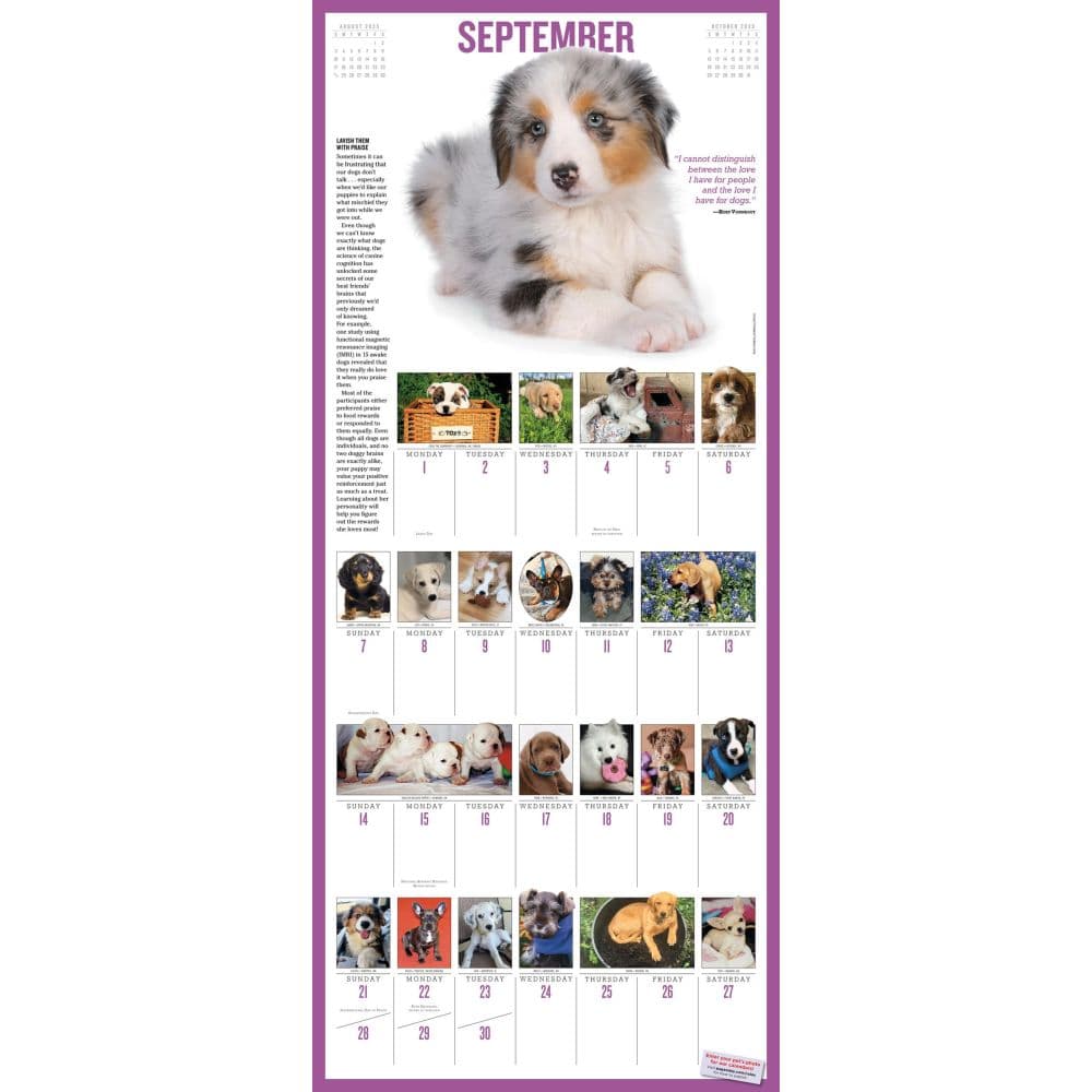 Puppies 365 Days 2025 Wall Calendar Alt3