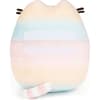 image Pusheen Rainbow Ombre Plush Third Alternate Image