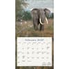 image Spirit of Africa 2027 Wall Calendar Second Alternate Image