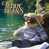 image Teddy Bears 2025 Wall Calendar Main Image