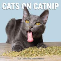 image Cats on Catnip 2026 Wall Calendar Main Image