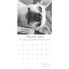 image Mutts 2024 Wall Calendar Second Alternate Image width=&quot;1000&quot; height=&quot;1000&quot;