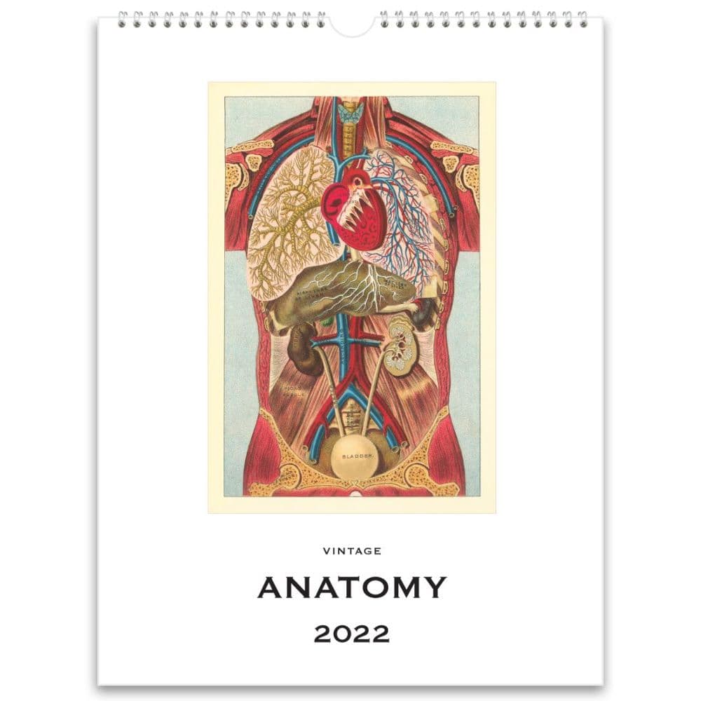 Anatomy Nostalgic 2022 Poster Wall Calendar