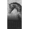 image Noble Horses Portrait Series 2025 Wall Calendar Second Alternate Image width=&quot;1000&quot; height=&quot;1000&quot;