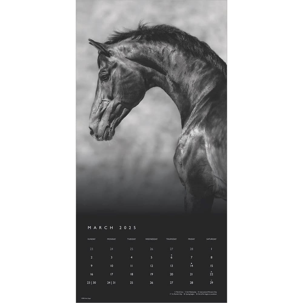 Noble Horses Portrait Series 2025 Wall Calendar Second Alternate Image width=&quot;1000&quot; height=&quot;1000&quot;