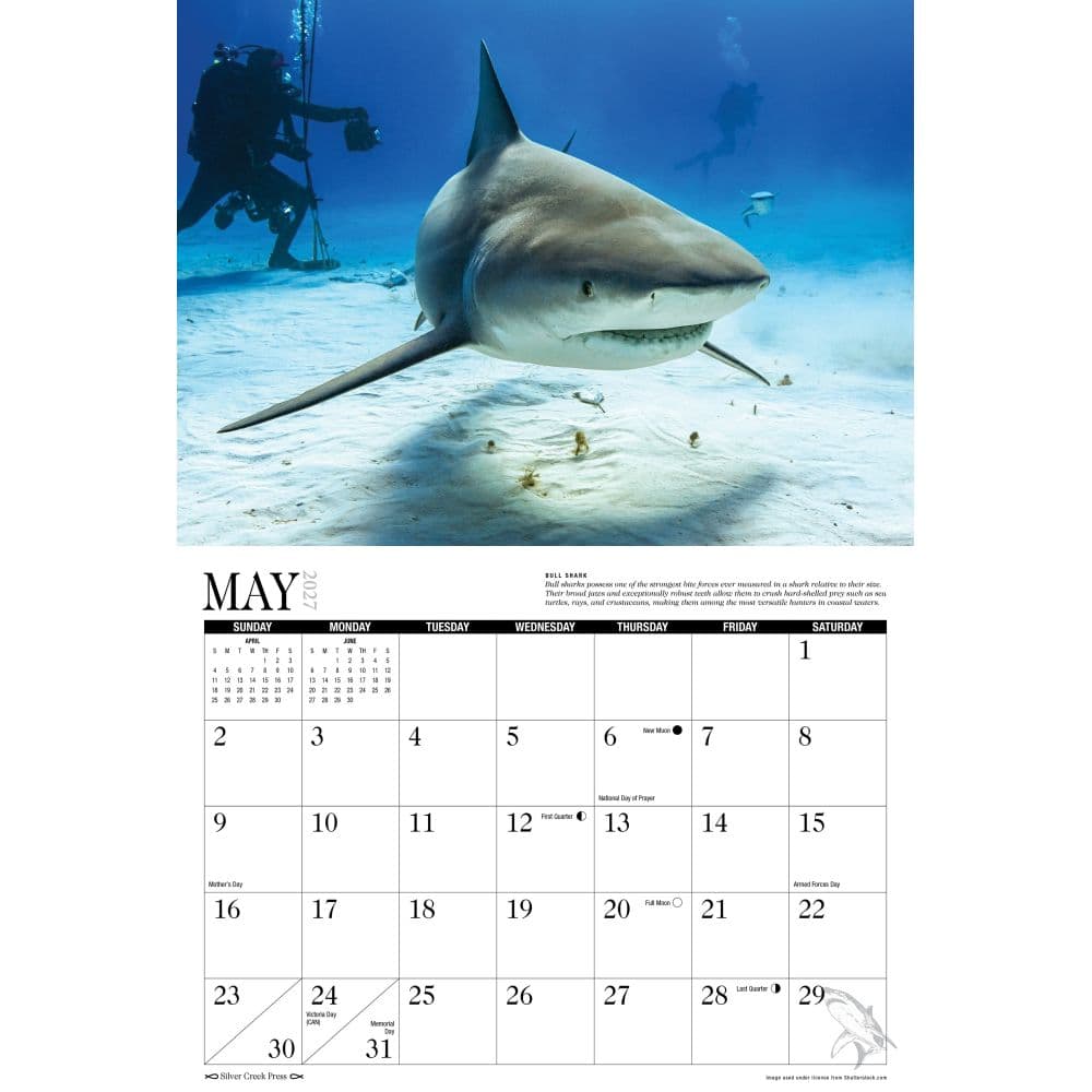 Sharks 2027 Wall Calendar Second Alternate Image