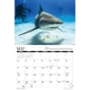 image Sharks 2027 Wall Calendar Second Alternate Image
