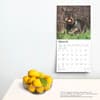 image Miniature Dachshunds 2025 Wall Calendar Fourth Alternate Image