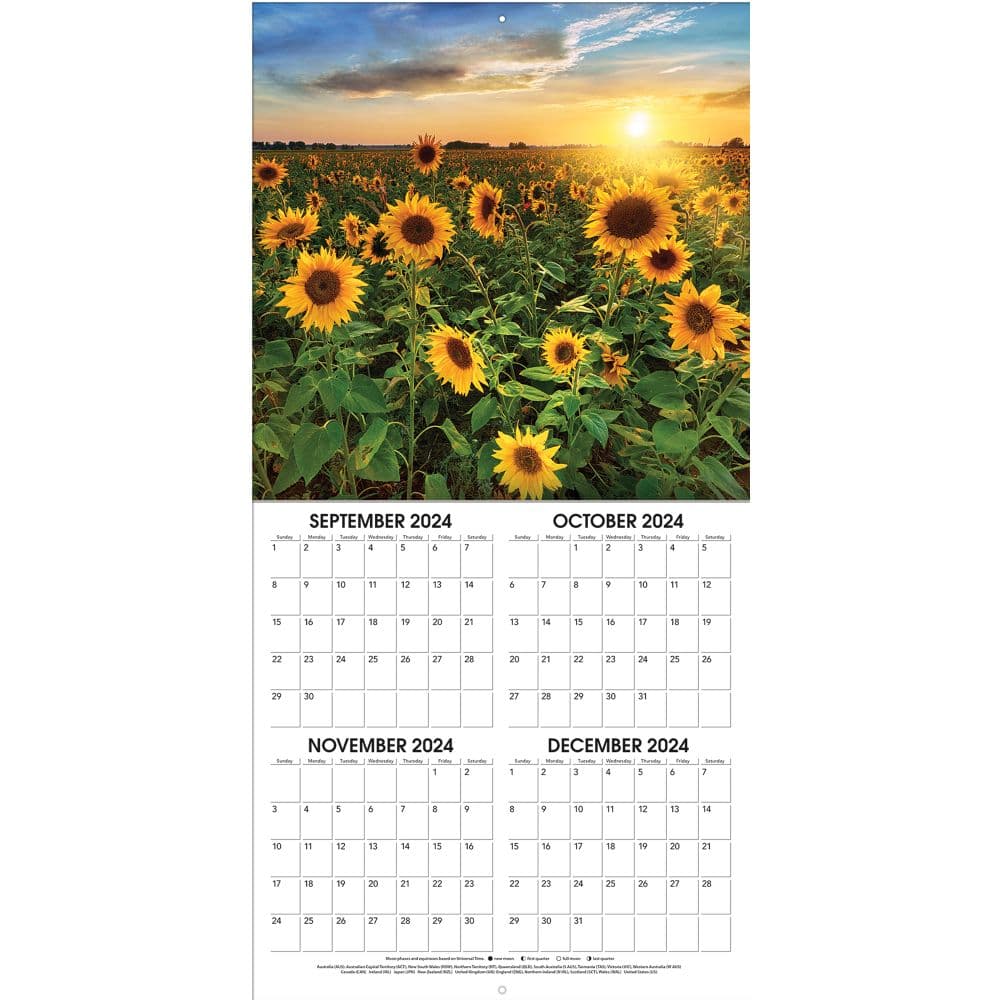 Sunflowers 2025 Wall Calendar