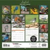 image Songbirds 2026 Wall Calendar_ALT1