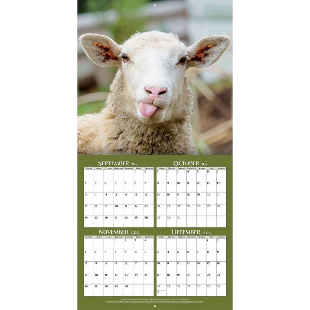 On The Farm 2024 Wall Calendar