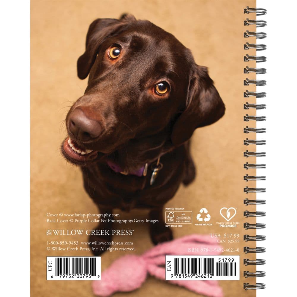 Labs What Labs Teach Us 2025 Engagement Planner Alt1