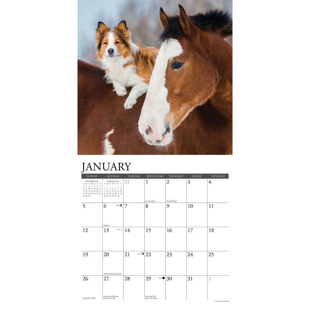 Pet Pals 2025 Wall Calendar Second Alternate Image width="1000" height="1000"