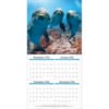 image Sea Creatures 2027 Wall Calendar