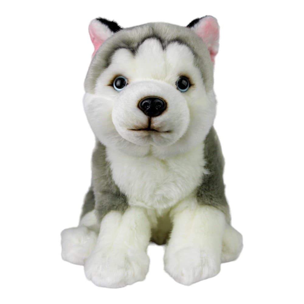 Floppy Husky 10 Inch Plush First Alternate Image