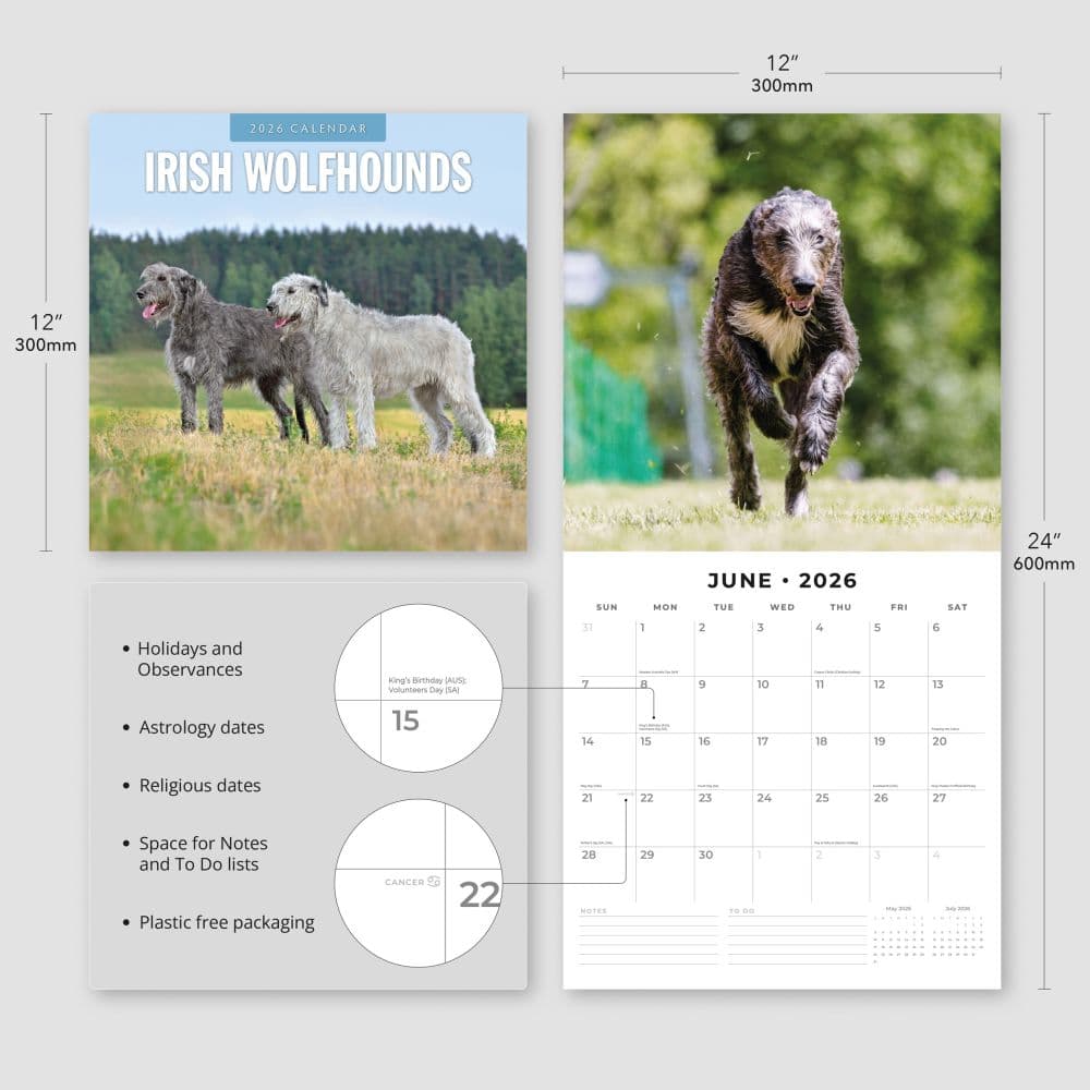 Irish Wolf Hounds 2026 Wall Calendar Fourth Alternate Image