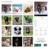 image Dogs Cartoon 2026 Wall Calendar First Alternate Image