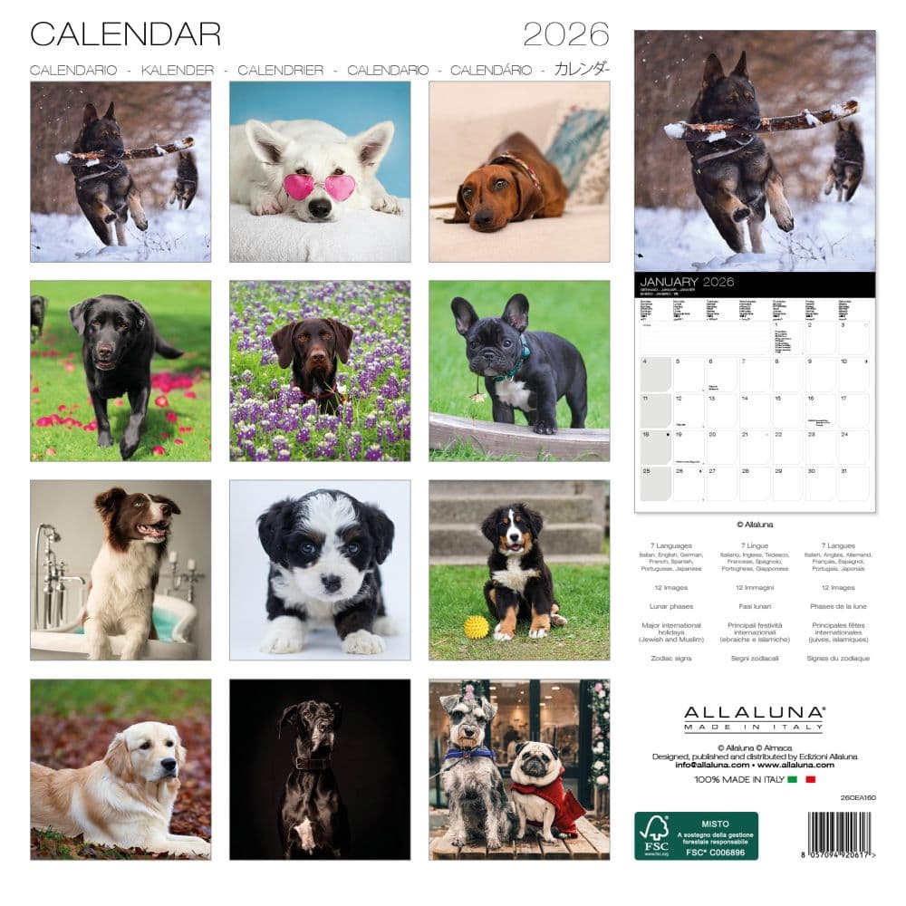 Dogs Cartoon 2026 Wall Calendar First Alternate Image